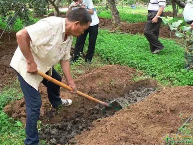 ����ʩ������`�^