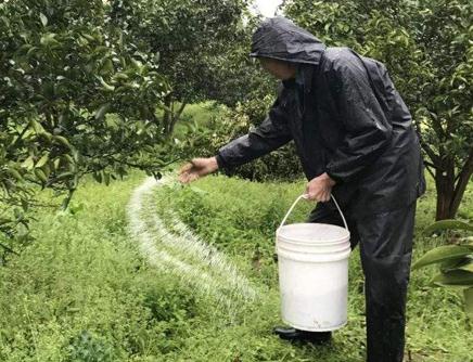 ����ʩ�ʞ��Ҫ��ʩ��