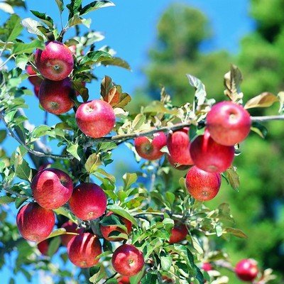 ����׌���@���|(zh��)���a(ch��n)�����@������ʼ��g(sh��)