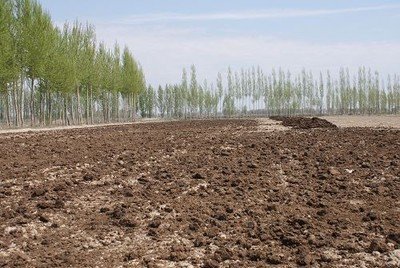 �r(n��ng)�ҷʼ�һ�c(di��n)�����ӄ�������Ч�͕�(hu��)����������ǧ�f(w��n)�����@ô�ã�