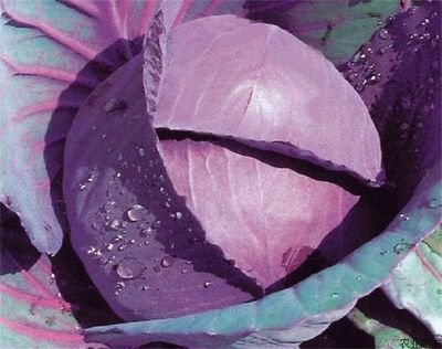 �ϸ��{���Ĳ��ķ��κܺ��� �㲻֪���ҁ����V�㣡