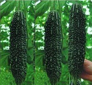 �Nֲ�߮a�ڿ�ϑ�������Щ�������ڿ�ϵĸ߮a����