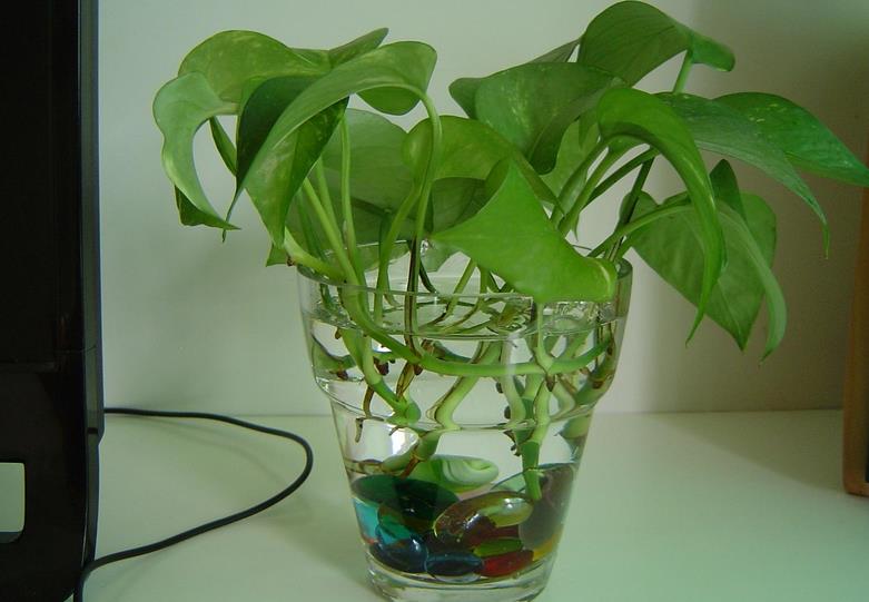 ˮ�໨�ܑ�ԓ���ʩ��