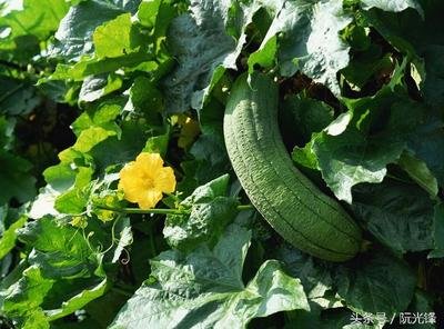 �z�Ϟ�ʲô���l�ࣿ��ν�Q�z�Ͽ�ζ���}��