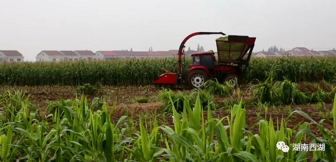 �ƌW���g�Ƅӕr���M������������֪�R���������S��