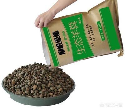 �����еġ��򃺡�����Ҋ���ӣ����B���ܺ��m��֪����