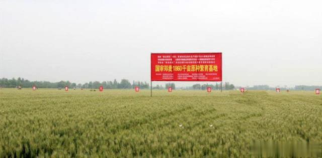 �׷��õĺ� С���a����