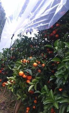 ������ʩ���ʵ����_���� ���ٶ���ʩ�ʵ�ԭ�t