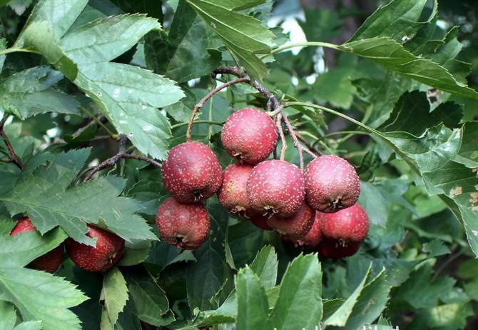 ���@��ԓ����ʩ�ʣ����@ʩ�ʵ�������