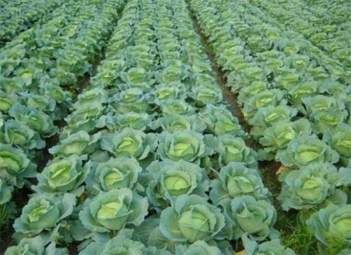 ¶�ظ��{����ʩ�ʑ�ע����Щ���}����������a����