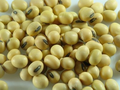 ��ʩ�ʕr�������ס�⛡��}������f��Ԫ�رز�����