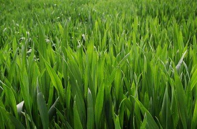 С������������ô�k��С�����������A������