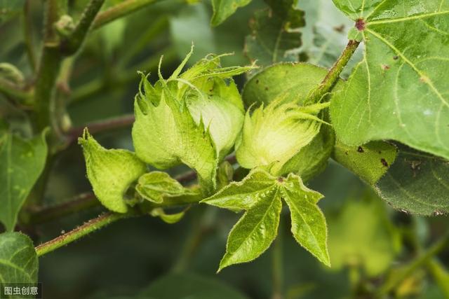 �޻�ȱ��զ�k���޻�ȱ��İY�ʩ�ʼ��g