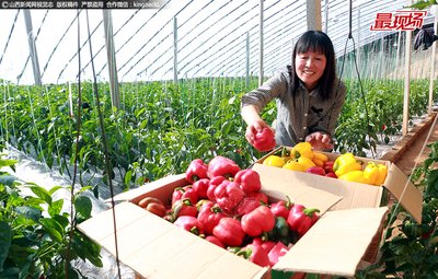 ��ʽ����ӹ���������ҕ�B���o�~