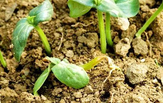 ���}��⧵����İY������Щ�����}��⧵������η�����