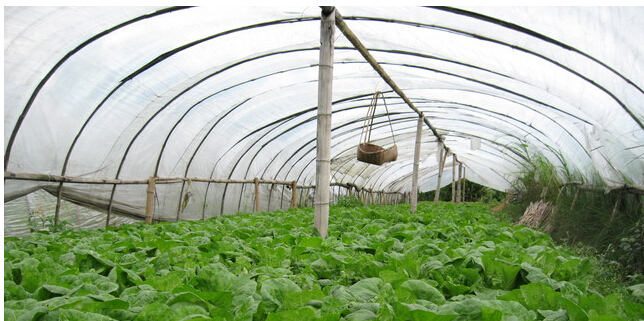 ���������߲����Ӈ�ˎ���������c(di��n)���������c(di��n)��