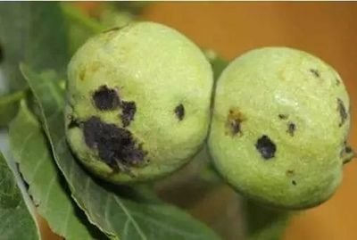 �������ӷ��κ��Ҳ����������@���c(di��n)�͉���