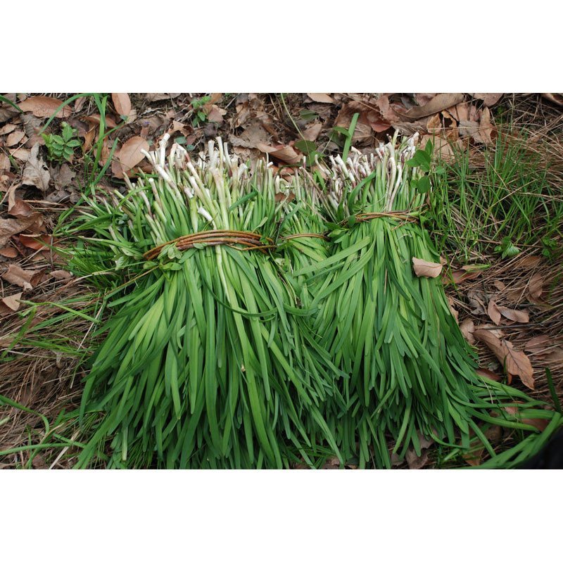 �紺�²���߮a(ch��n)��Ҫע��²˵��Ĵ�ʩ�ʷ���