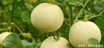 ��ϿƌW(xu��)ʩ��С���ɣ���ϸ߮a(ch��n)���ّn��