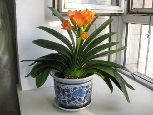 �����m������ô����ʩ�ʣ������Ŀ��^(gu��)��(l��i)��