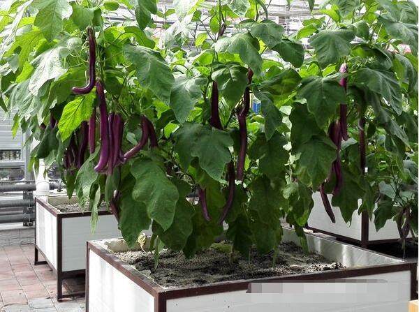 ��������ʩ�ʵ�ע�����