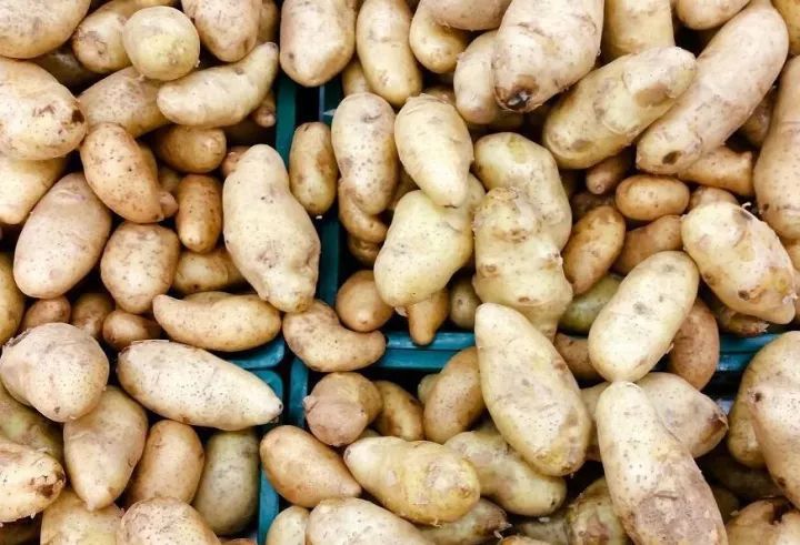 �R����Nֲ��ô�ܸ߮a���R�������С���ɣ�