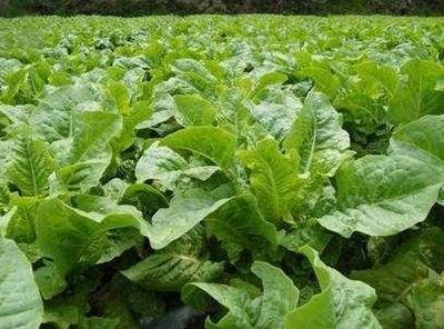 �����n�SҪע��ʲô����(y��n)���@���P(gu��n)�Ϳ�����