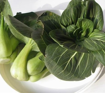 ���ȫ���|����ȫ�L�U�ܿ�ָ��