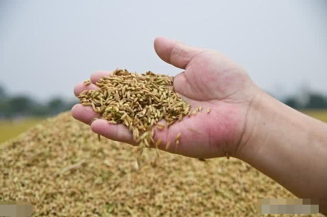 2020��|�������󶹼��g(sh��)ָ��(d��o)��Ҋ