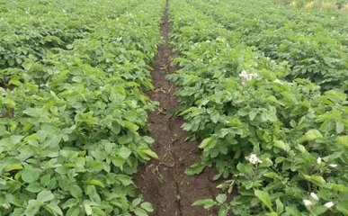 ���û��ʣ�ֻ���r(n��ng)�ҷʷN�R�������ô����ʹ�ã�Ҫע��Щʲô��(x��)��(ji��)