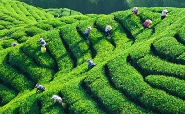 ����˪��������@����ָ�����g