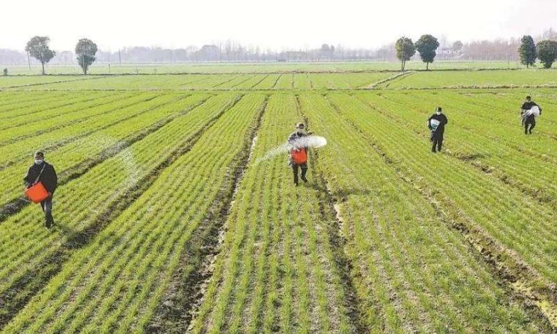 ���ʾ�Ȼ߀���@ô�ã����ʮ�(d��ng)�r(n��ng)ˎ����Ч�o������