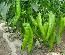 �ཷ��ԓ����ʩ�ʣ��ཷ���_ʩ�ʵķ�����