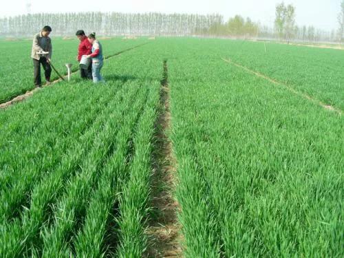 ��ʑ�ԓ��ʲô�r��ʹ�ã�ʹ�Õr��Ҫע��ʲô��