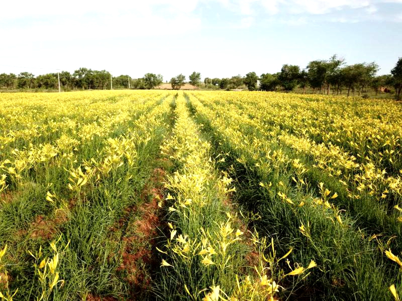 �Nֲ�S���ˑ�ԓ����ʩ�ʣ��S����ʩ�ʼ��g��