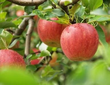 �O��ʩ�ʑ�ԓע��ʲô�أ��O��ʩ�ʷ�����