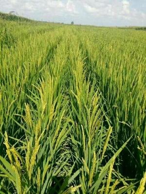 ��ʵ�������ʲô��ʹ�Õr��Ҫע��ʲô��