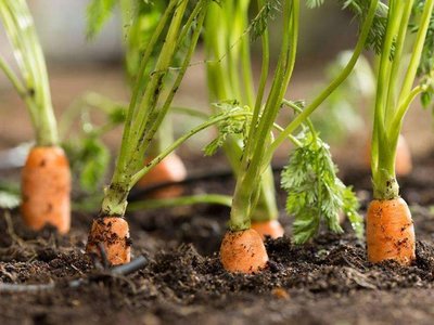 ���}������ʩ�ʲ��ܸ߮a�����}���߮aʩ�ʼ��g��