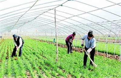 �²���οƌWʩ�ʣ��²�ʩ�ʷ�����