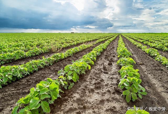 �Nֲ�󶹑�(y��ng)ԓ���ʩ�ʣ���ƽ��ʩ�ʷ�����