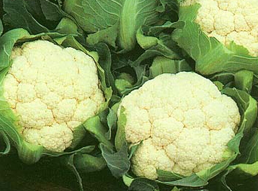 ��Ҭ�ˑ�(y��ng)ԓ����ʩ�ʣ���Ҭ��ʩ�ʼ��g(sh��)��