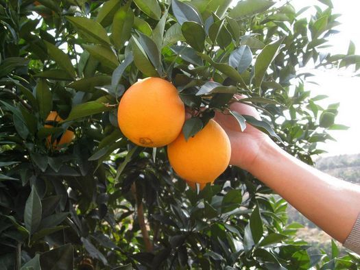 Ě��ʩ����ô�k��Ě�ȵ�ʩ�ʼ��g������