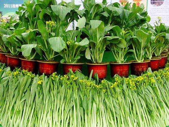 ���đ�ԓ����ʩ�ʣ�����ʩ�ʼ��g��