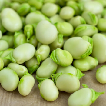 �Q���߮a��ԓ���ʩ�ʣ��Q��ʩ�ʼ��g��