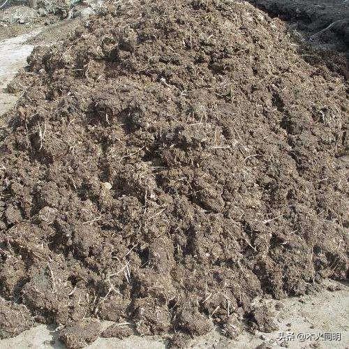 �x�ʲ��HҪ����Ч��߀Ҫ�м����}Ч��