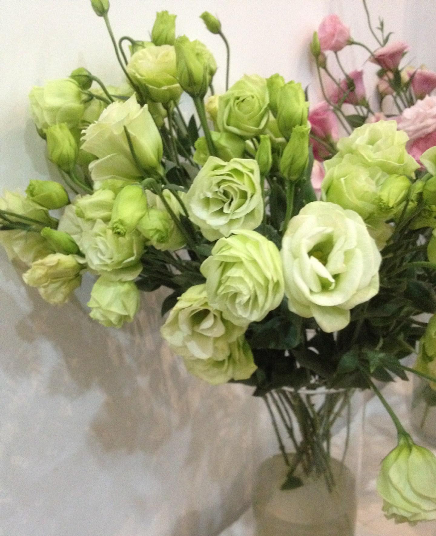 ��۹���ԓ����ʩ�ʣ���۹���ʩ�ʼ��g��