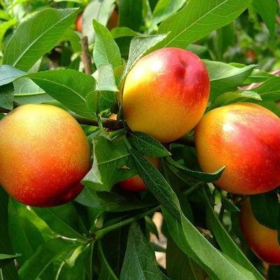 ����׷����Ҫע��ʲô������׷��ע����헣�