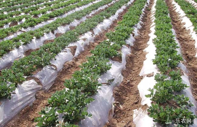 �＾ʩ�����׷����e�`��ʲô����ԓ������_ʩ����