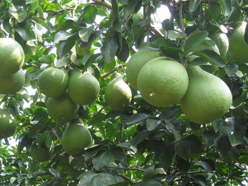 �������ʩ�ʲ������|(zh��)�����a(ch��n)�����ӿƌW(xu��)ʩ�ʼ��g(sh��)��