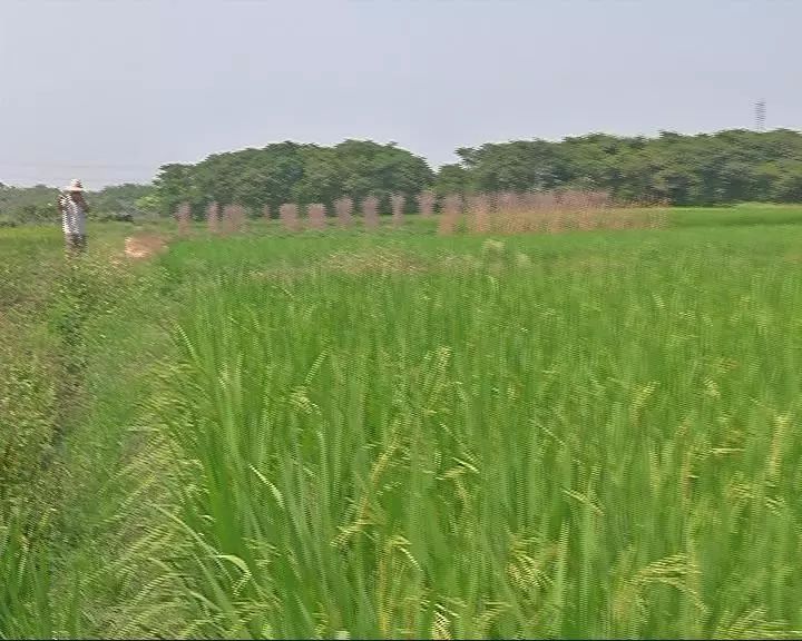 ˮ������ʩ�ʼ��g(sh��)